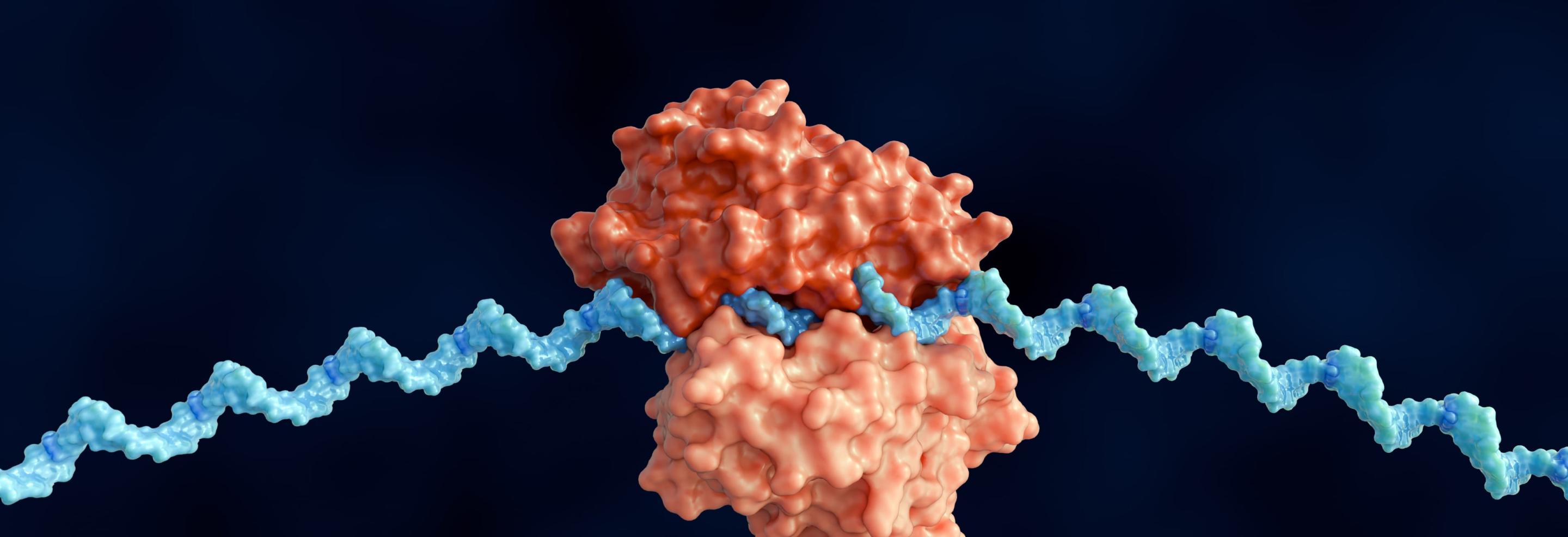 Smarter Polymerases, Cleaner Transcripts, Better RNA