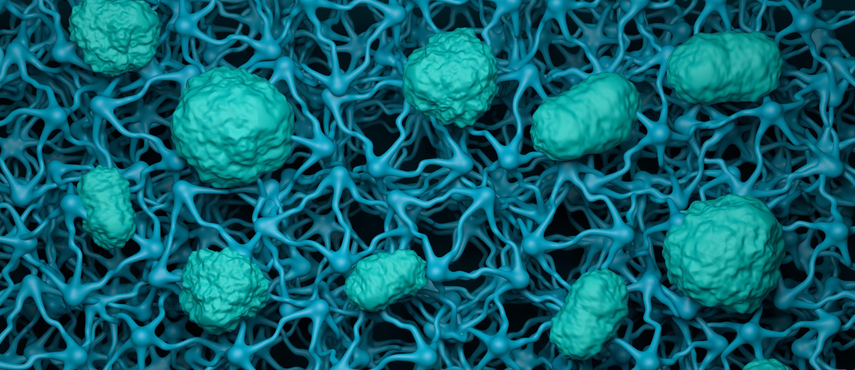 Engineering Biologics and Nanomedicines to Traverse the Blood–Brain Barrier