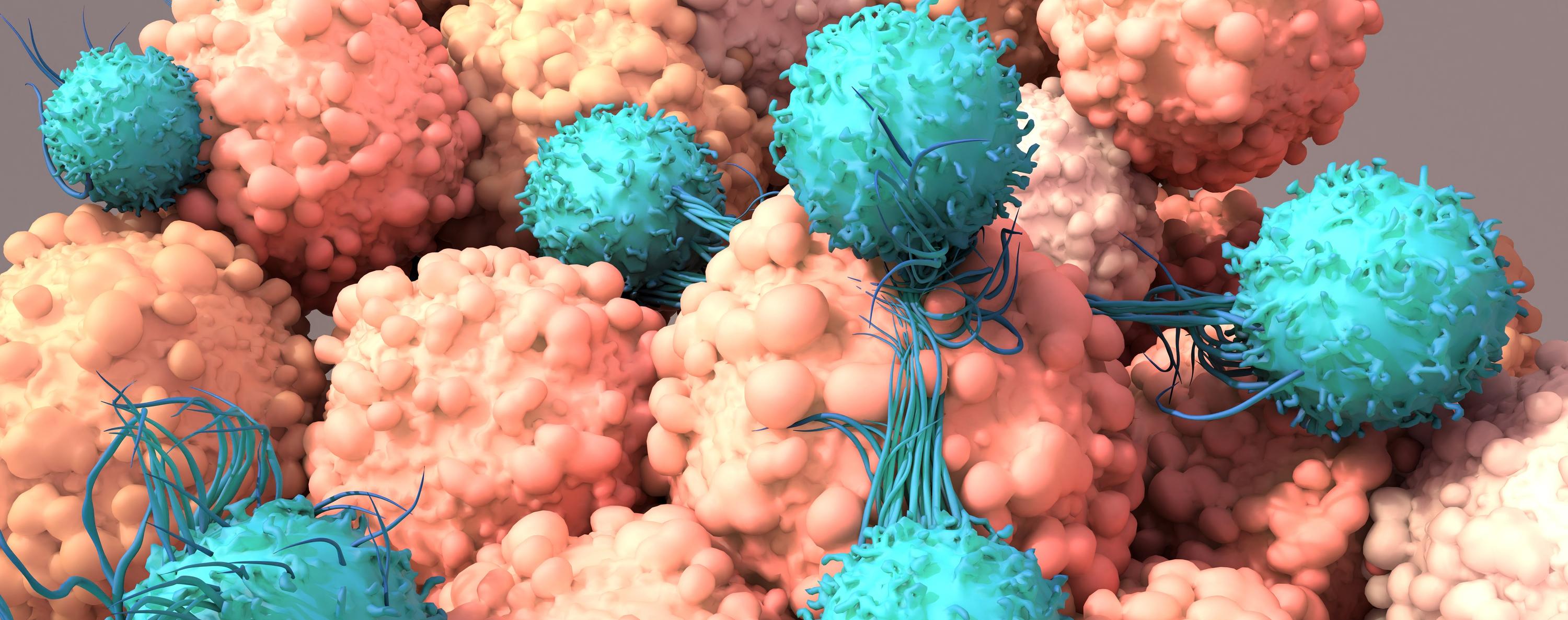 NK Cell Therapy vs. T Cell Therapy: Which Cell Therapy Platform Is Better for Cancer Treatment?