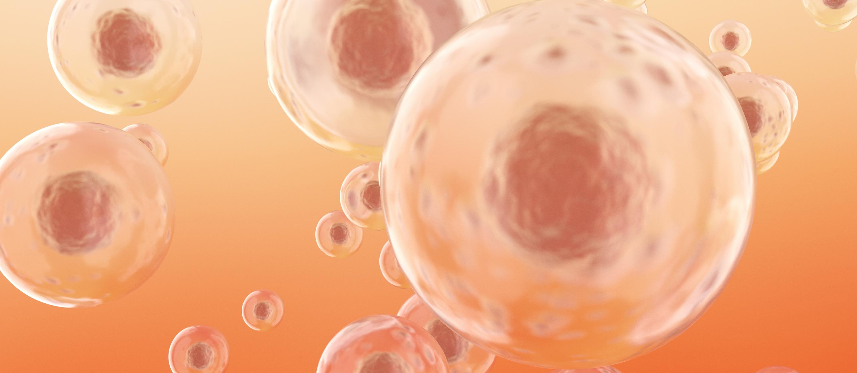 CHO vs. HEK293: Which Expression System Is Better for Biopharmaceutical Production?