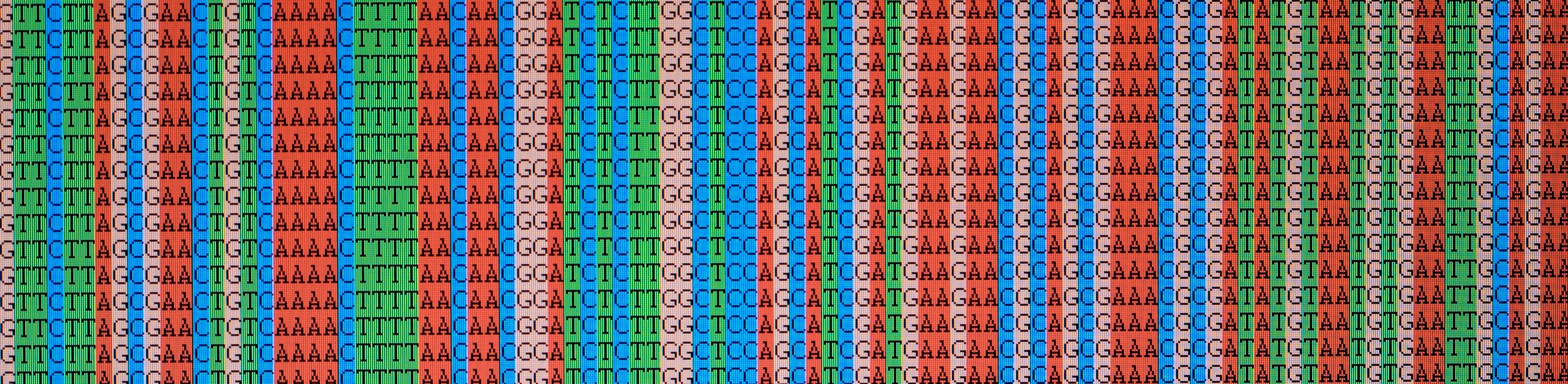 Molecular Tags, DNA Barcodes, and the Future of Pharmaceutical Supply Chain Authentication