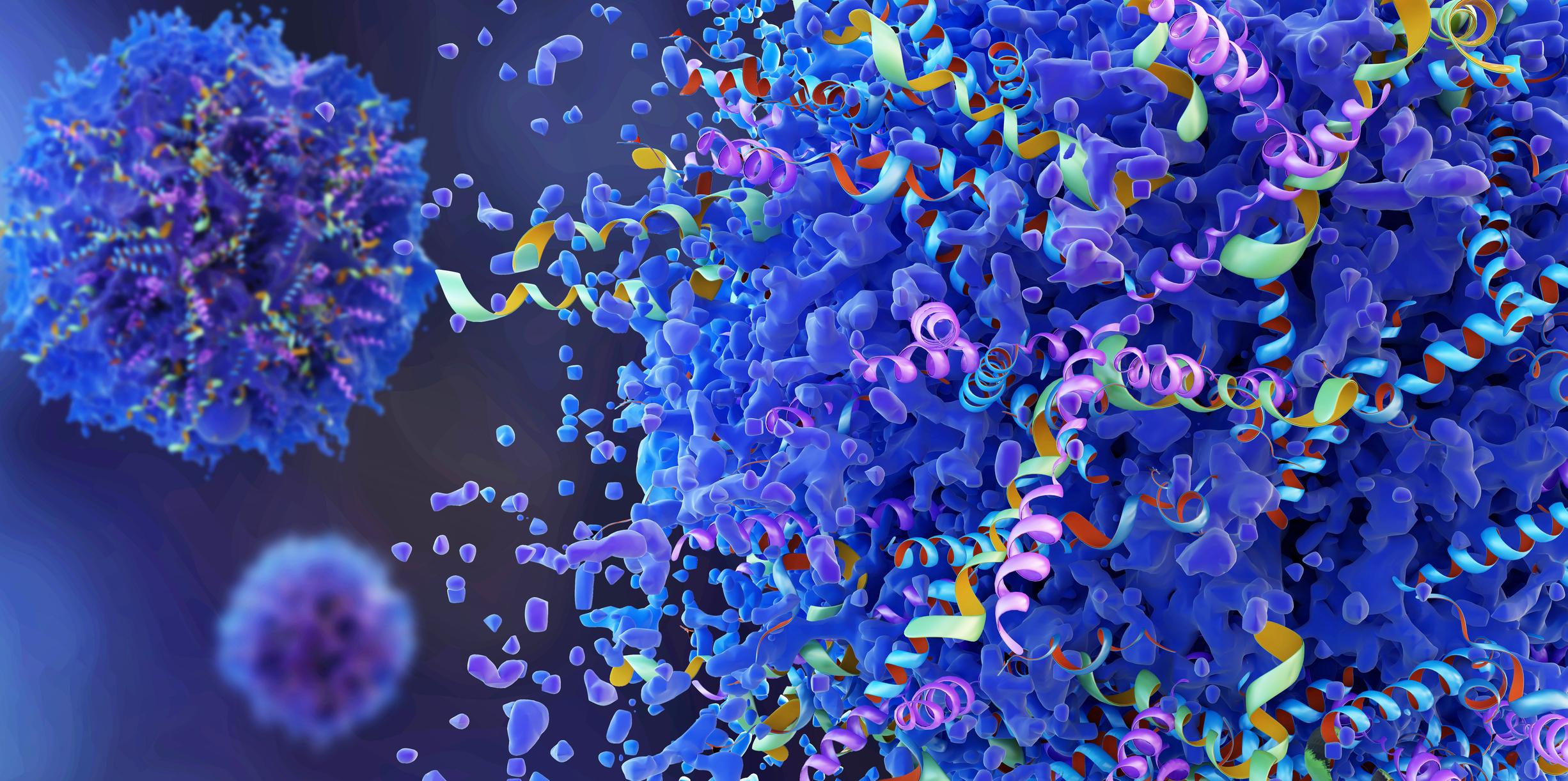 Protein Misfolding as a Therapeutic Axis in Neurodegenerative Disease