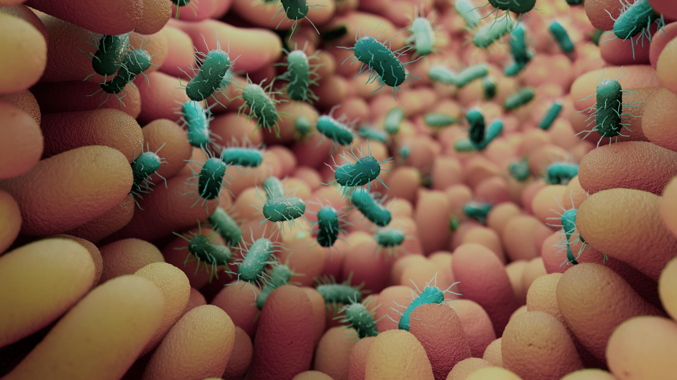 Editing the Microbiome in Place: From Engineered Probiotics to Programmable Ecological Therapies
