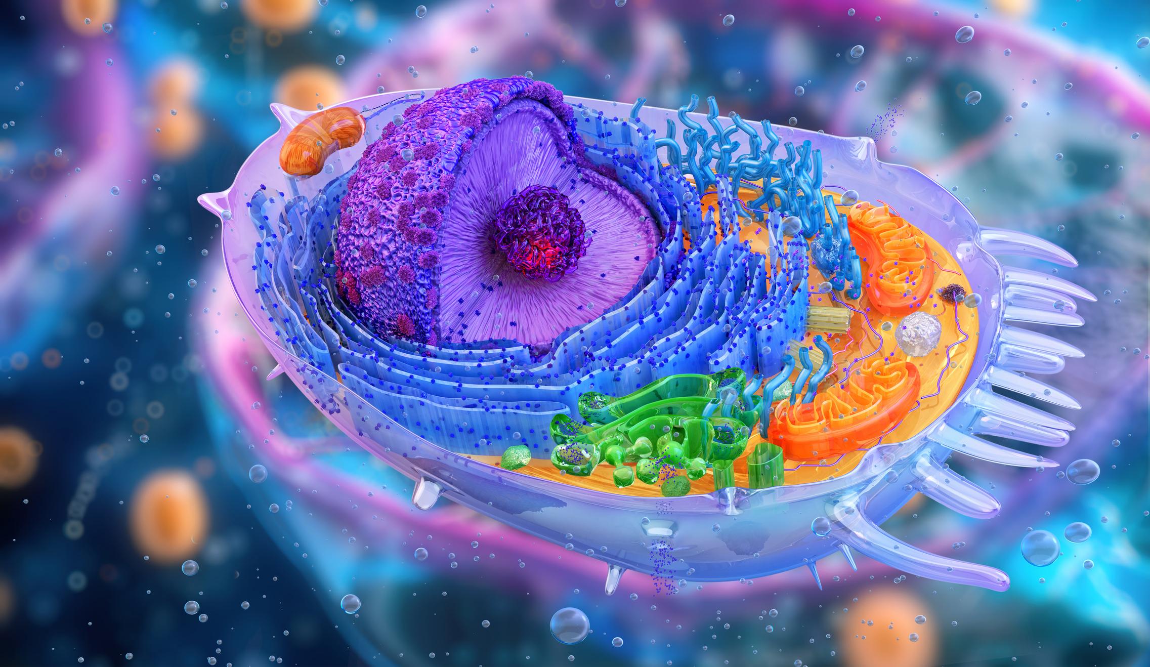 Intracellular Delivery: Reaching Targets Beyond the Cell Surface