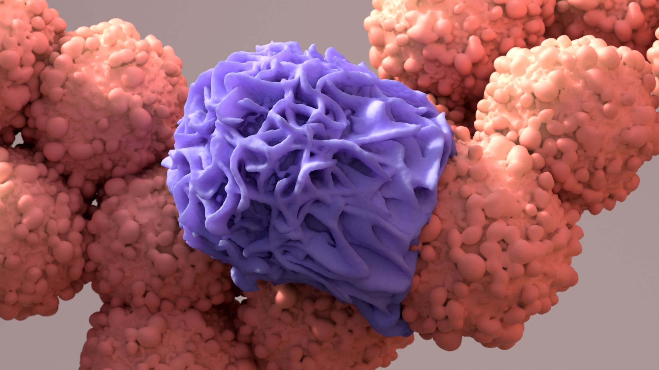 Harnessing Macrophage Biology to Overcome Tumor Immune Evasion