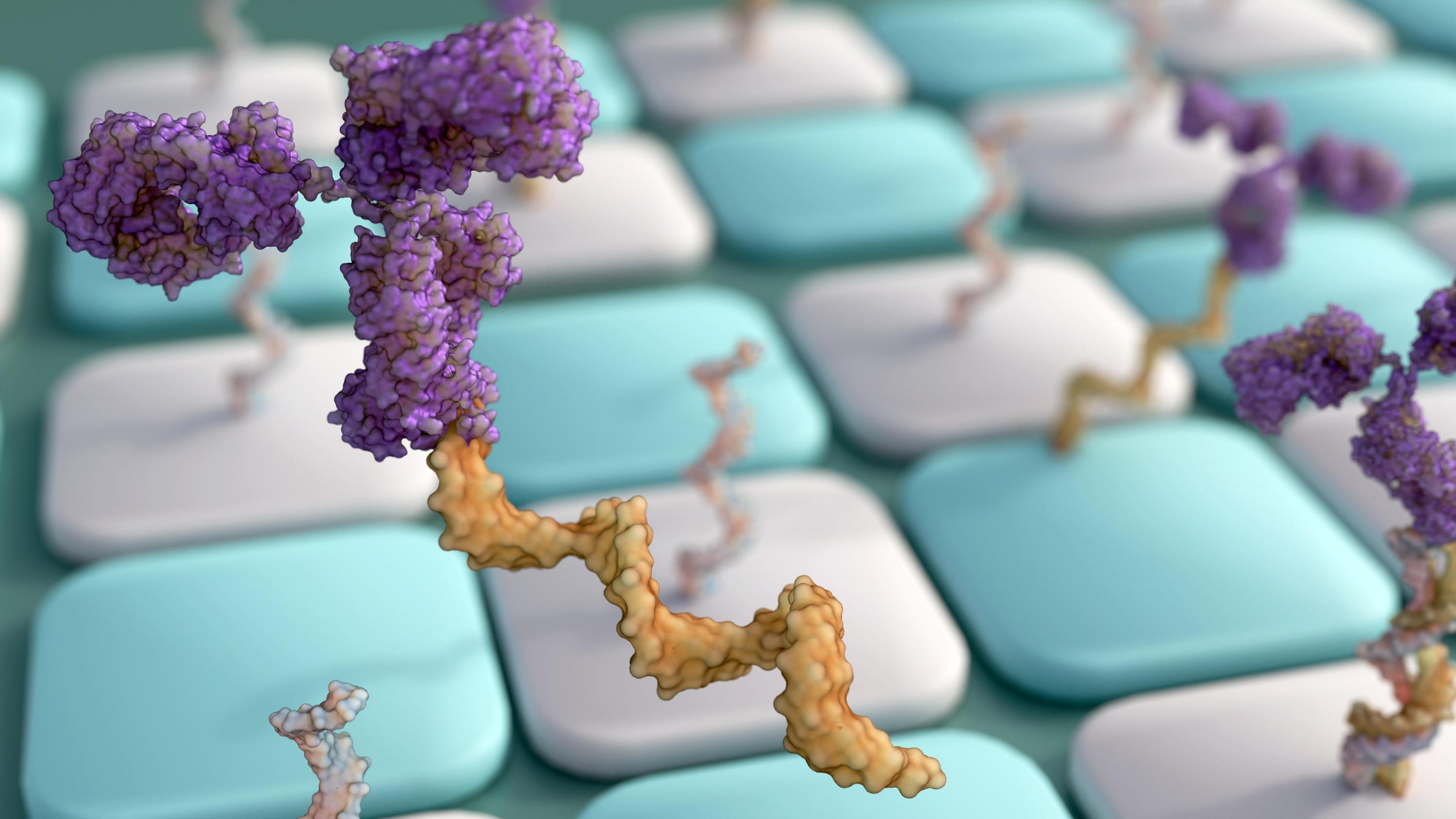Antibody–Oligonucleotide Conjugates Clinical Manufacturing — A New Paradigm Shift of Bio-Conjugates for Therapeutics