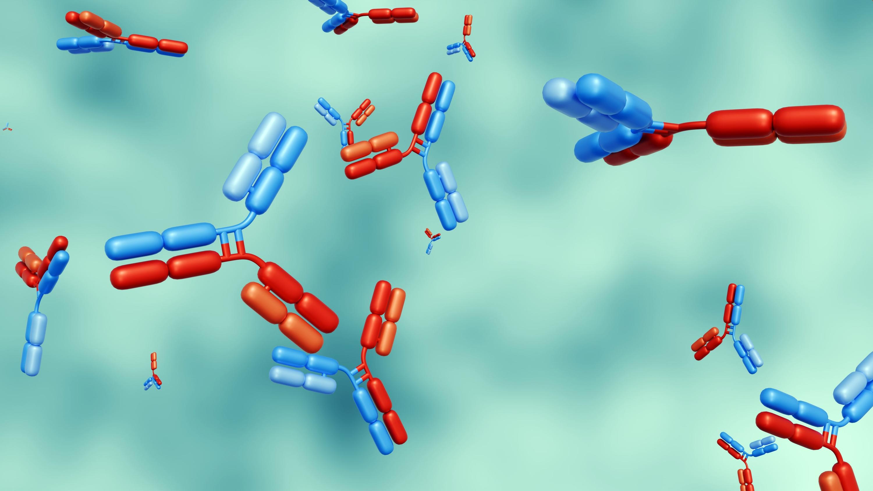 Bispecific Antibodies Move Into the Heme-Onc Mainstream