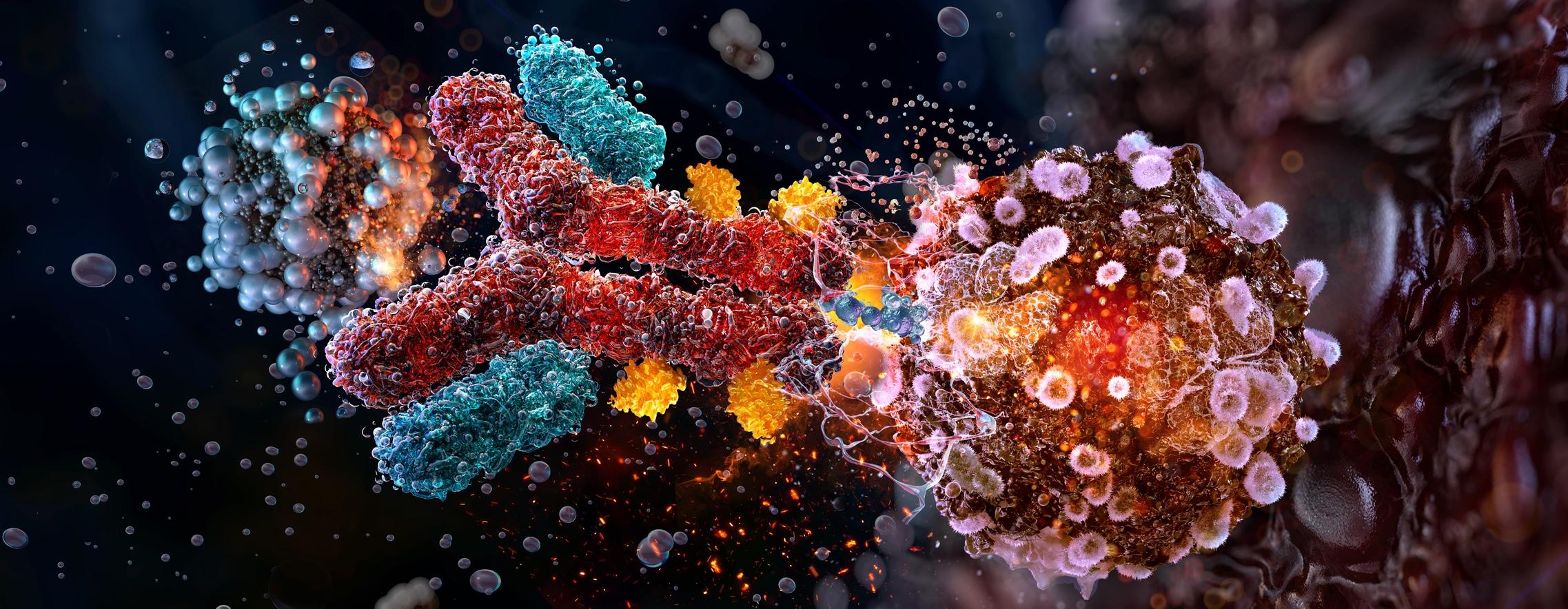 How Lessons from Breast Cancer Are Shaping ADC Development Across Solid Tumors