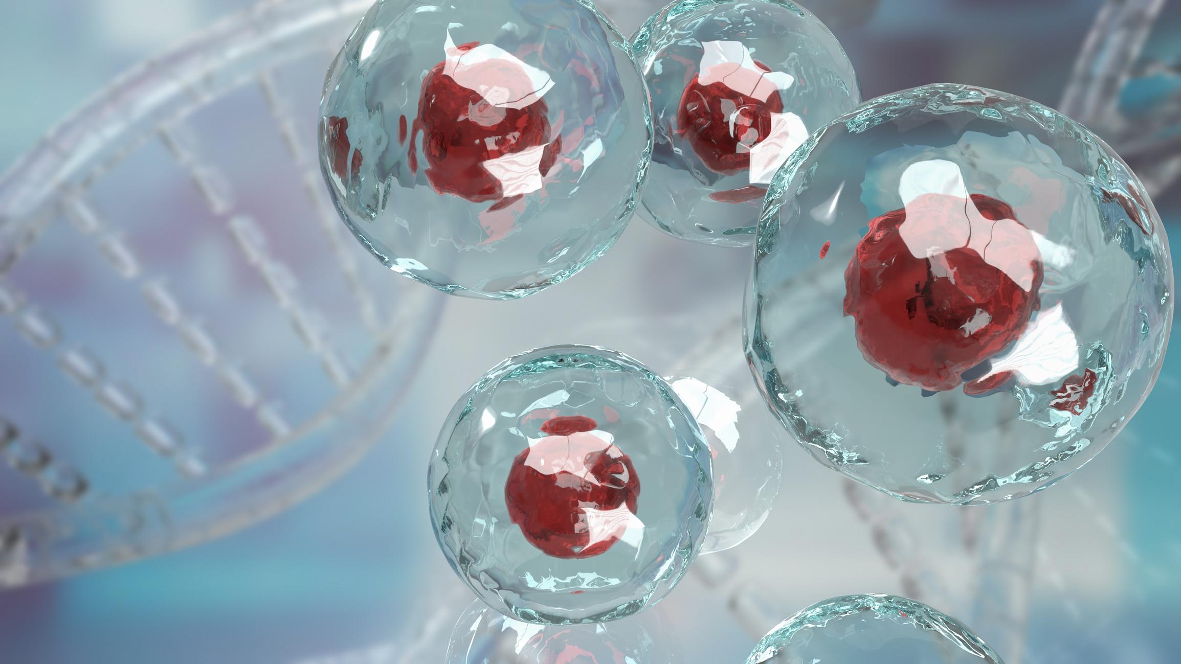 Release Testing as a Cell and Gene Therapy Manufacturing Bottleneck