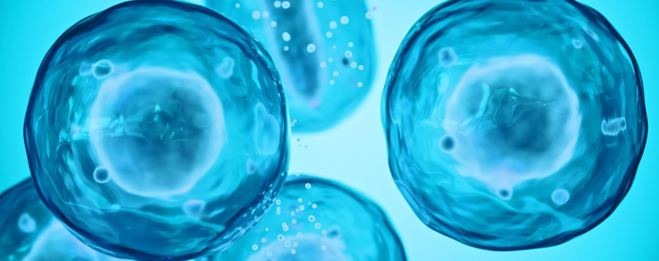 Can Mammalian Cell-Line Engineering Become a High-Throughput Design Problem?