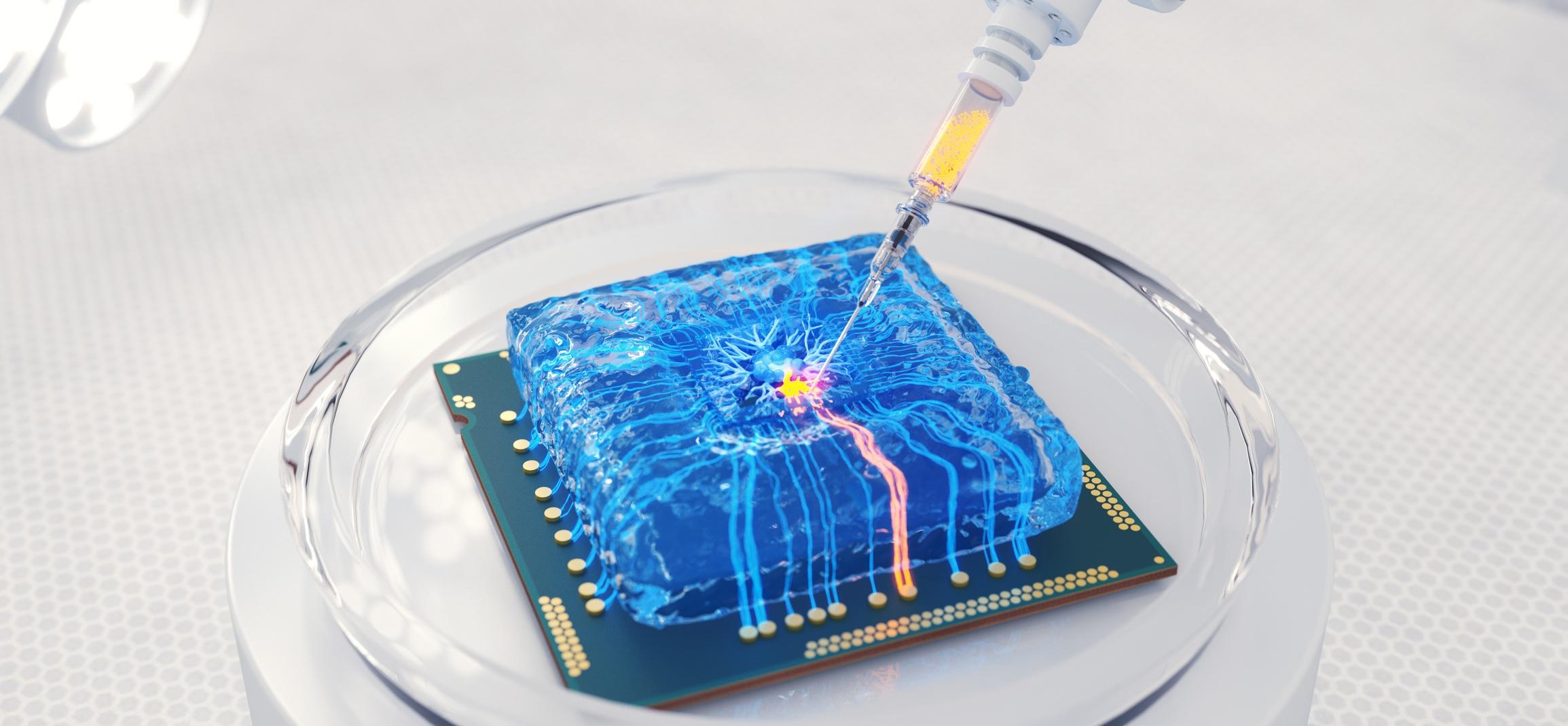 Why Multi-Organ Chips Are a Manufacturing and Standardization Challenge