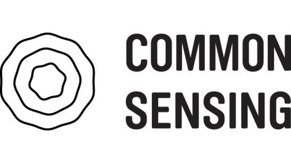Common Sensing