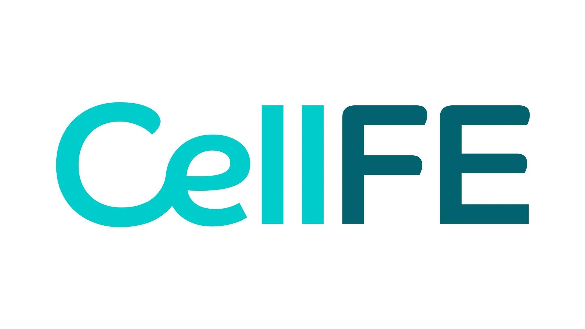 CellFE