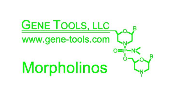 Gene Tools
