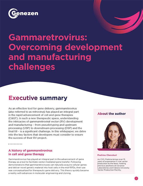 Gammaretrovirus: Overcoming development and manufacturing challenges