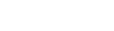 Nice Insight logo