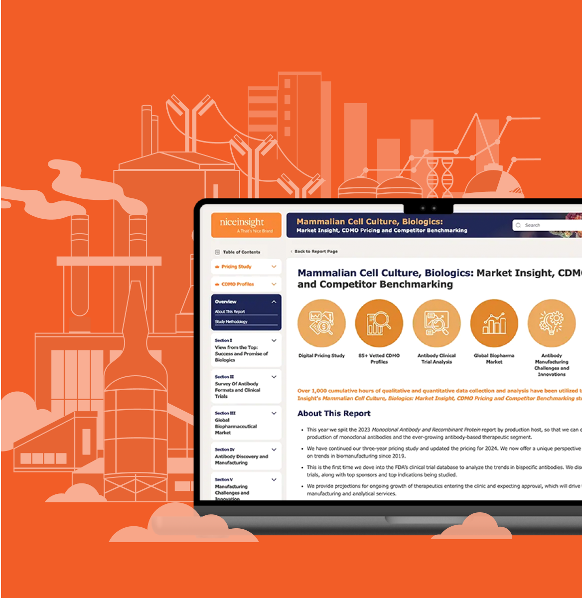Pricing reports market intelligence visual