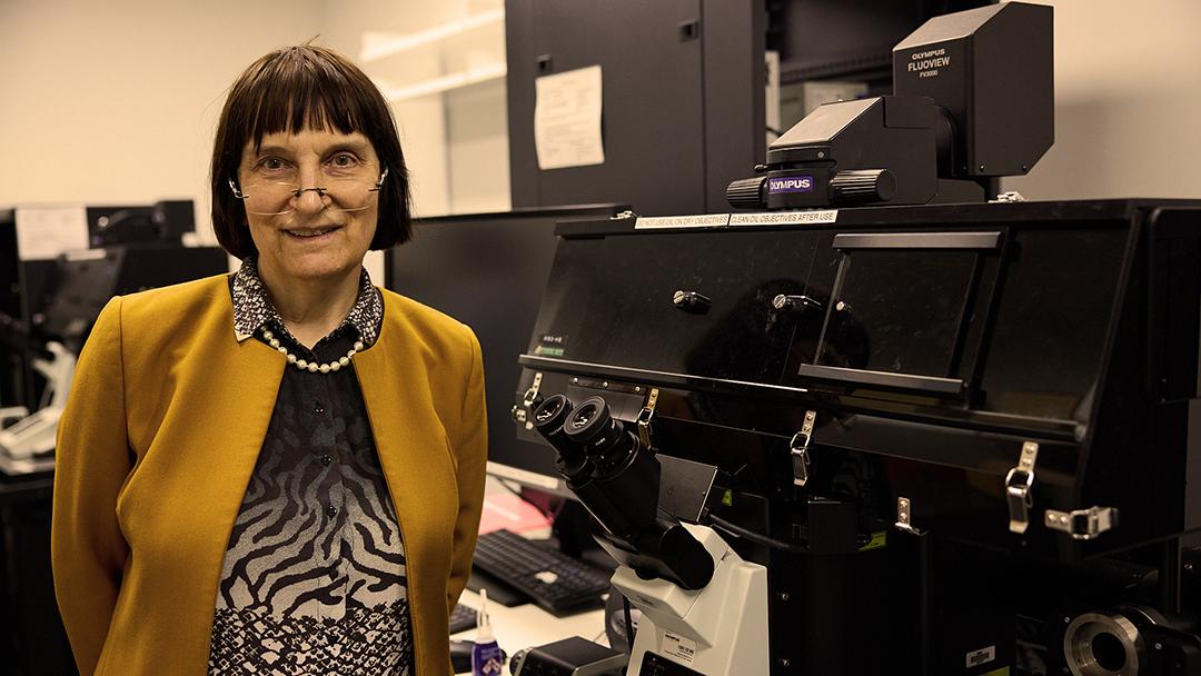 Ewa Goldys, Research Collaboration Partner with UNSW and Avicena Systems.