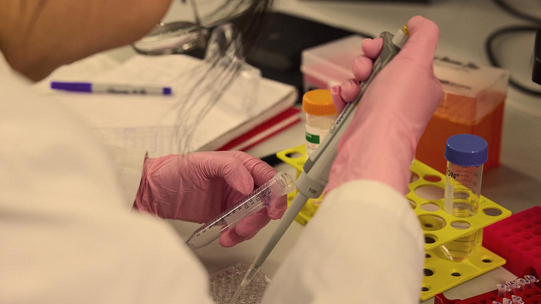 A front-row seat for the action at UNSW's Lowy Cancer Research Centre.