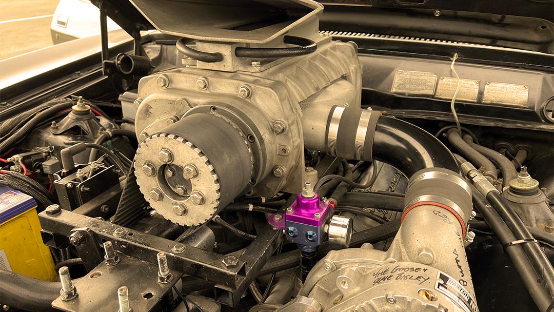 600 horses of fuel-injected venturing.