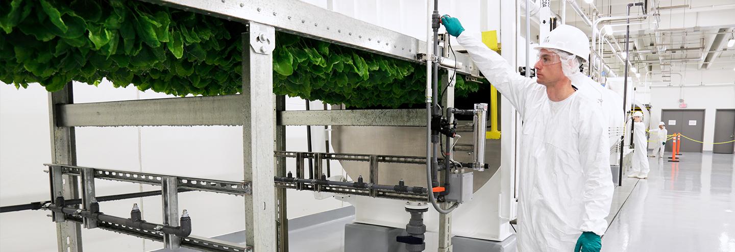 The Advantage of Plant-Based Expression Solutions Around the Globe