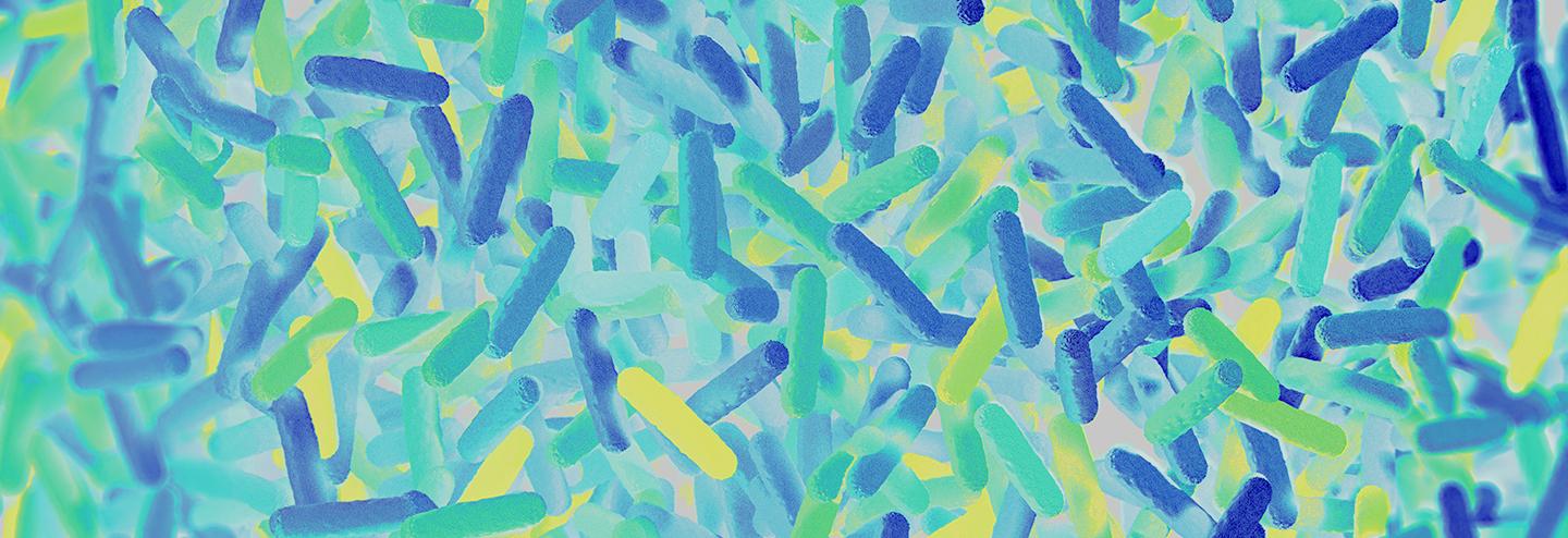 Harnessing the Gut–Brain Axis to Treat Neurological Disorders