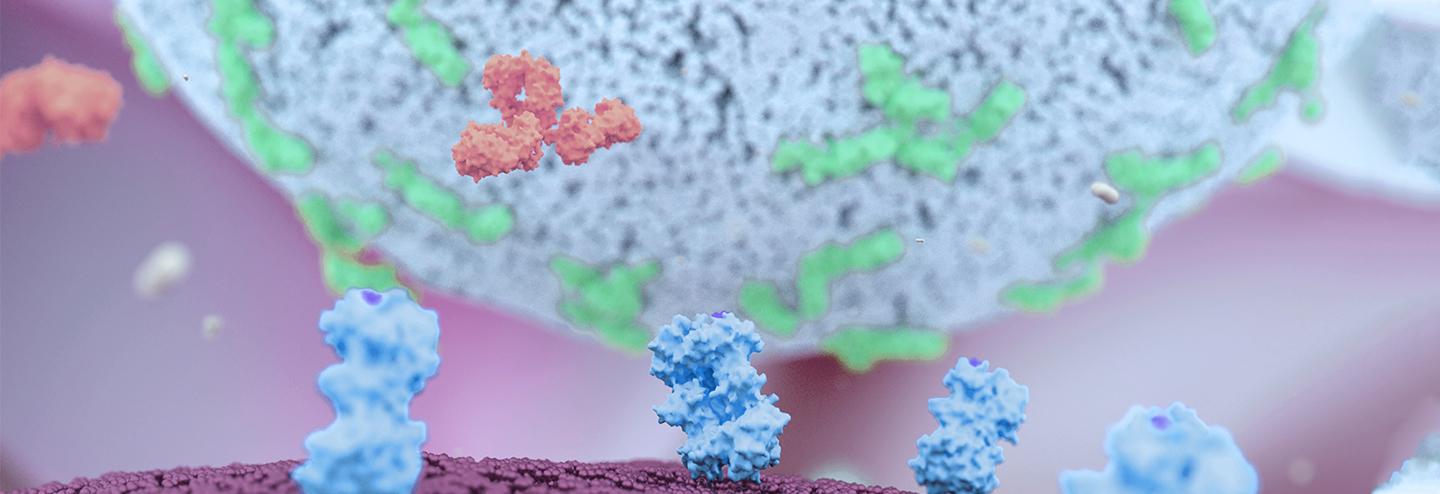 Novel Off-The-Shelf Targeted Cell Therapies