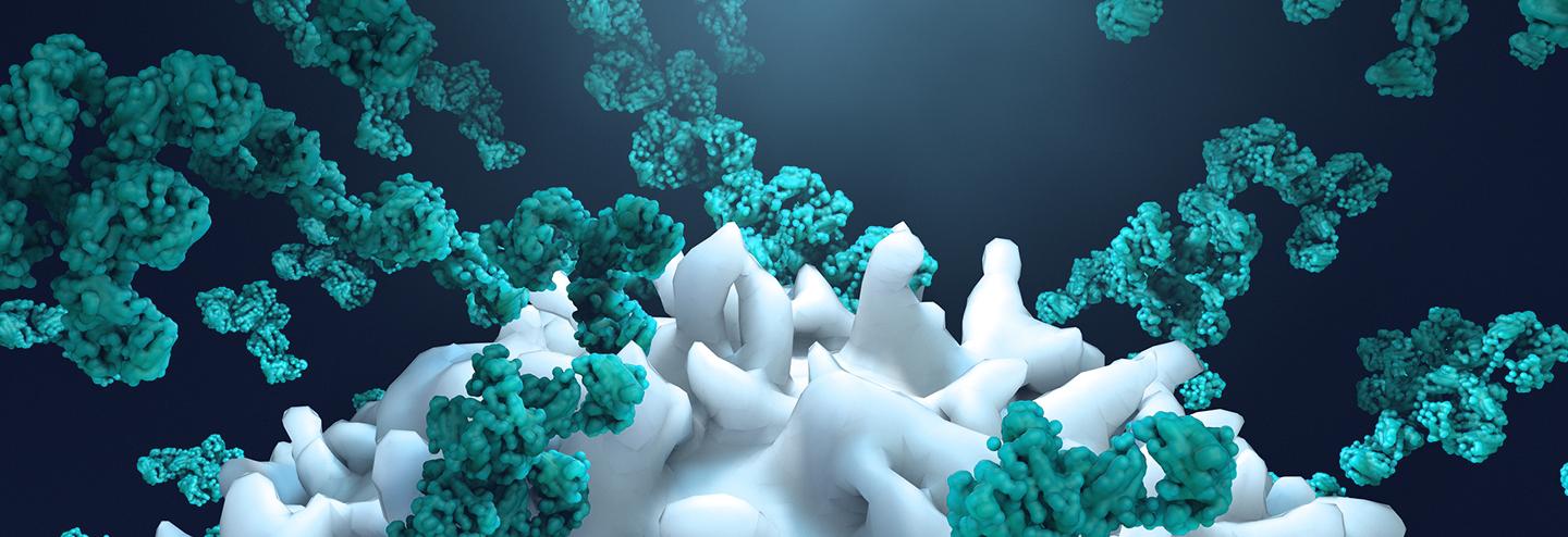 Computational Discoveries for Clinical Development of Novel Cancer ...
