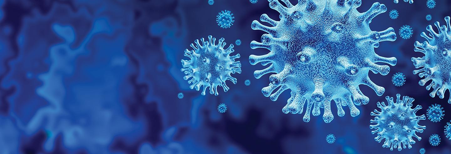 Using a Natural Molecular Warning System to Fight Cancer and Infectious Diseases