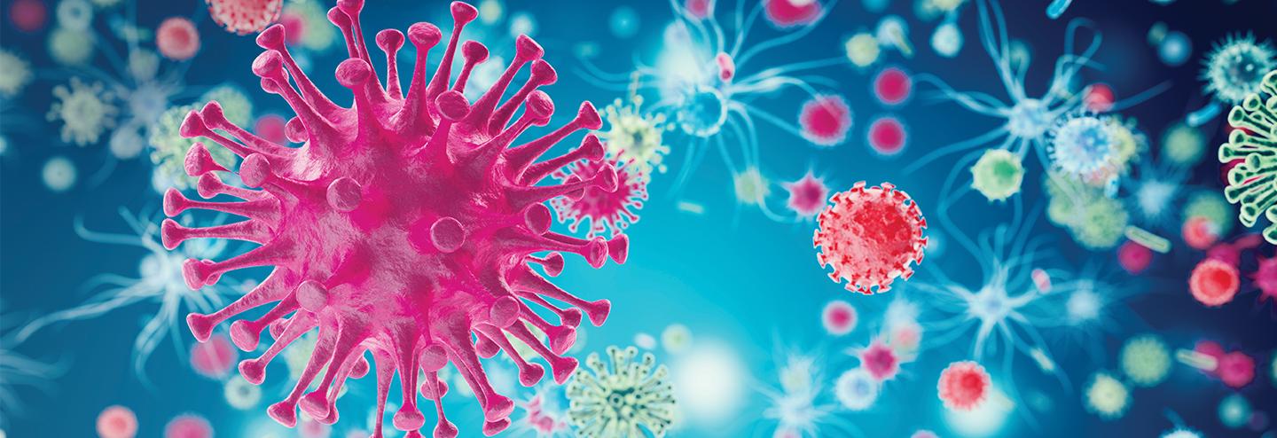 Robust Harvest Clarification for Adeno-Associated Viral Vectors via Depth Filtration