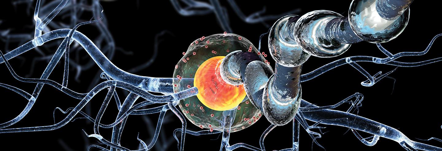 A Therapeutic Strategy for Neurological Disorders