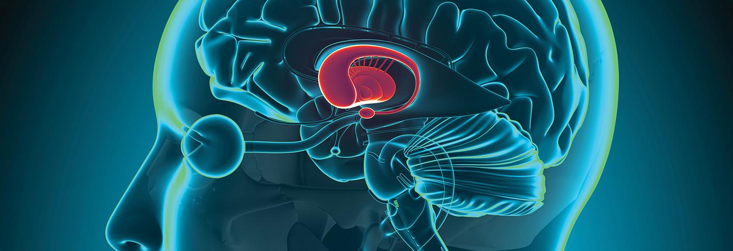 Developing Transformative Treatments for Rare Endocrine Diseases