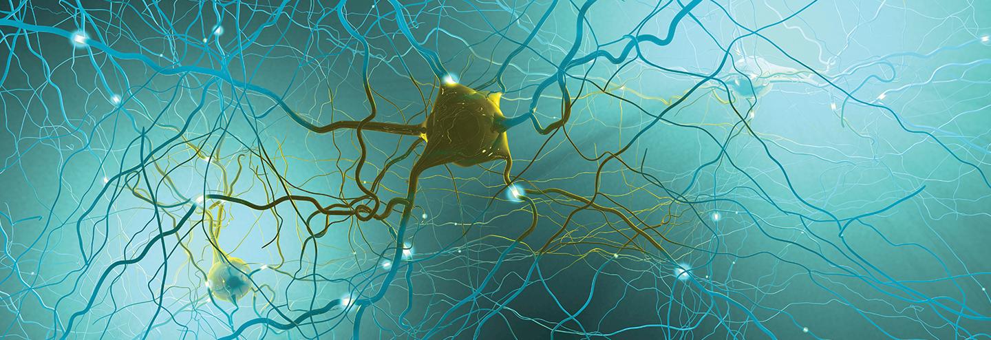 Changing the Paradigm of Stem Cell Technology
