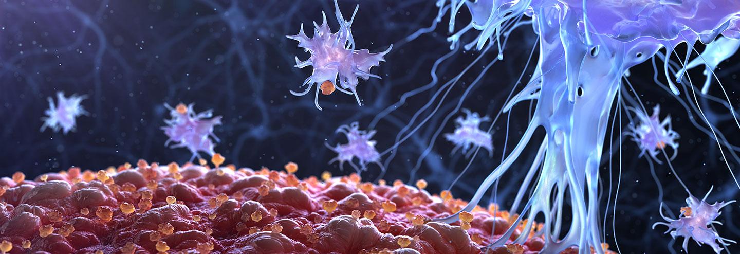 Taking Adoptive Cell Therapies to the Next Level