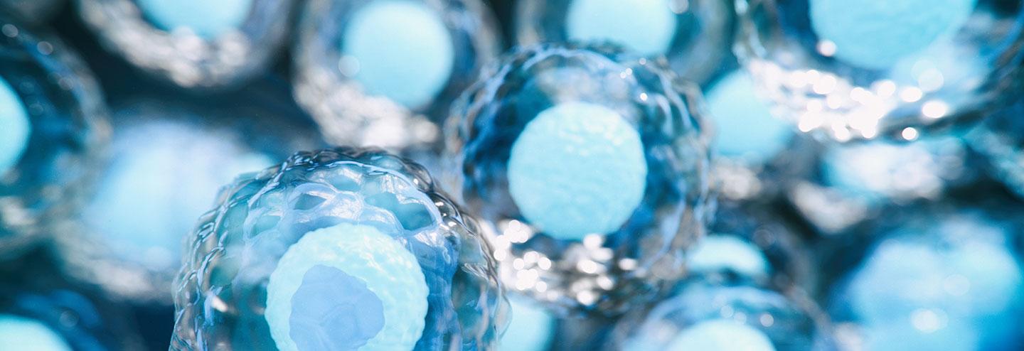 10 More Biotechs Making Moves in 2022