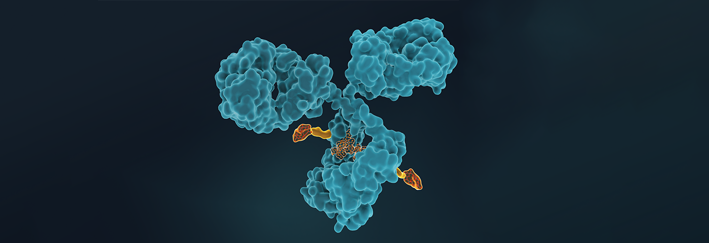 Improving the Therapeutic Index of ADCs with a Peptide Linker Technology