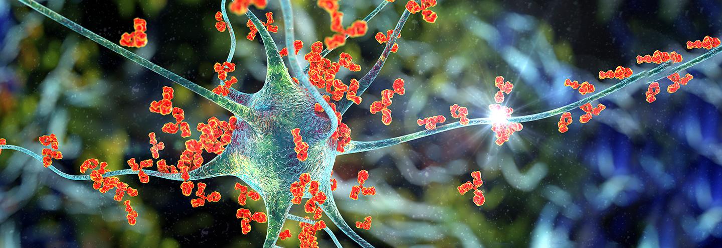 Potential Applications for Antisense Oligonucleotide Therapies Continue to Expand