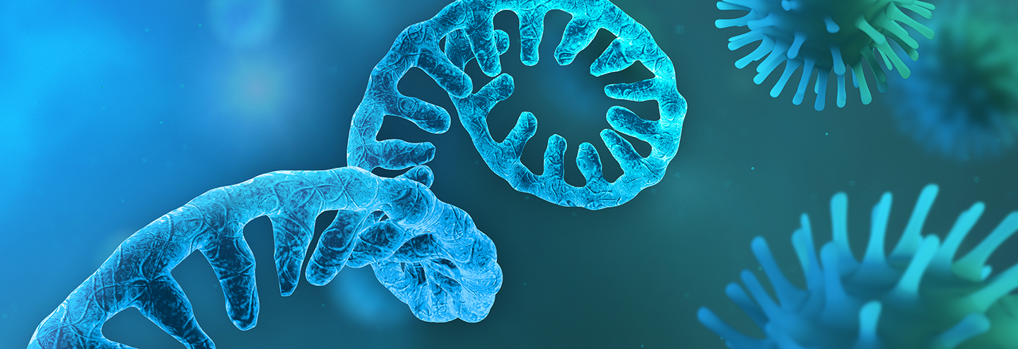 Closing the Developability Gap for RNA Therapeutics and Vaccines with a Fit-for-Purpose Analysis Kit