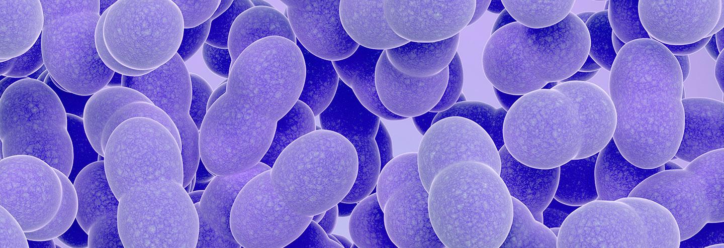 Supporting Biodefense Countermeasures with Strong Capabilities and Expertise