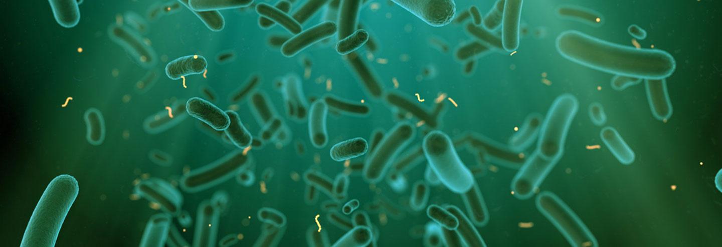 Adding Value with Patent Protection for Novel, Tailor-Made Bacterial Production Strains
