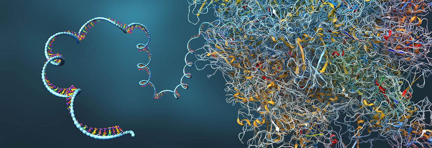 Investing in the Future of mRNA Manufacturing
