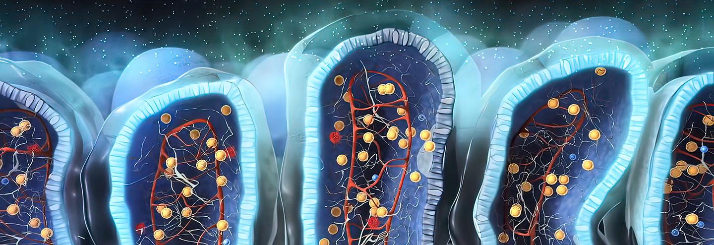The Exciting Potential of Inhalation Vaccines