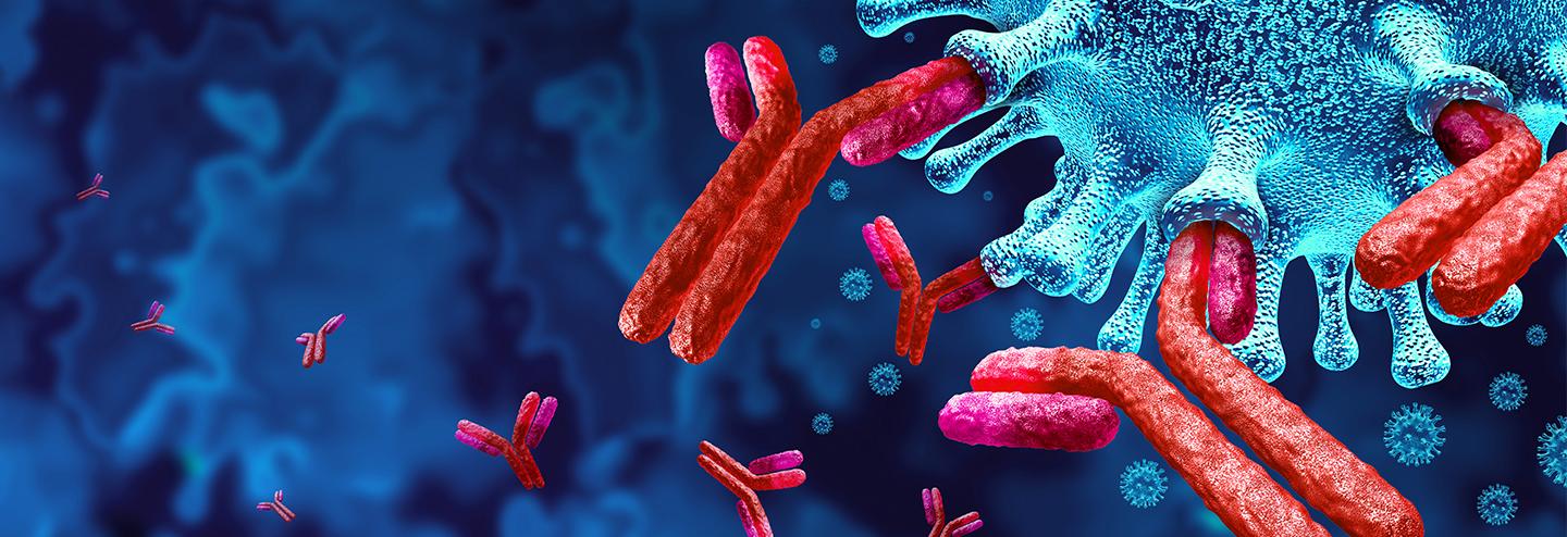 Developing New Antibody Therapeutics for COVID-19 and Beyond