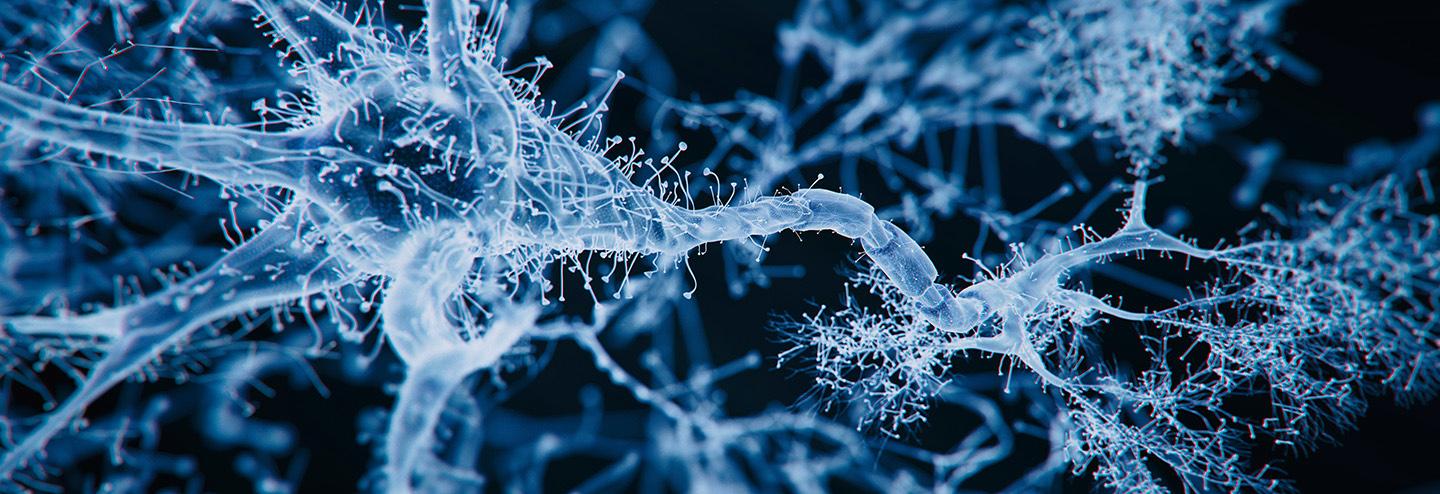 Pioneering Nanocatalysis to Revolutionize Treatments for Neurodegenerative Diseases