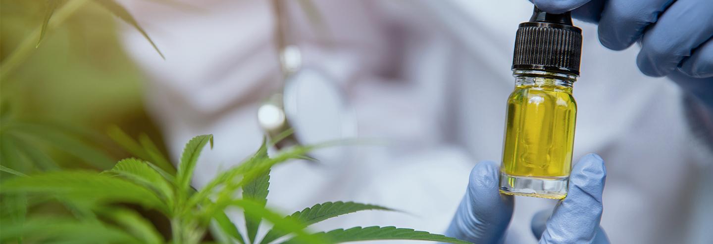 Used Hemp Processing Equipment—The 5 Trends Increasing Demand