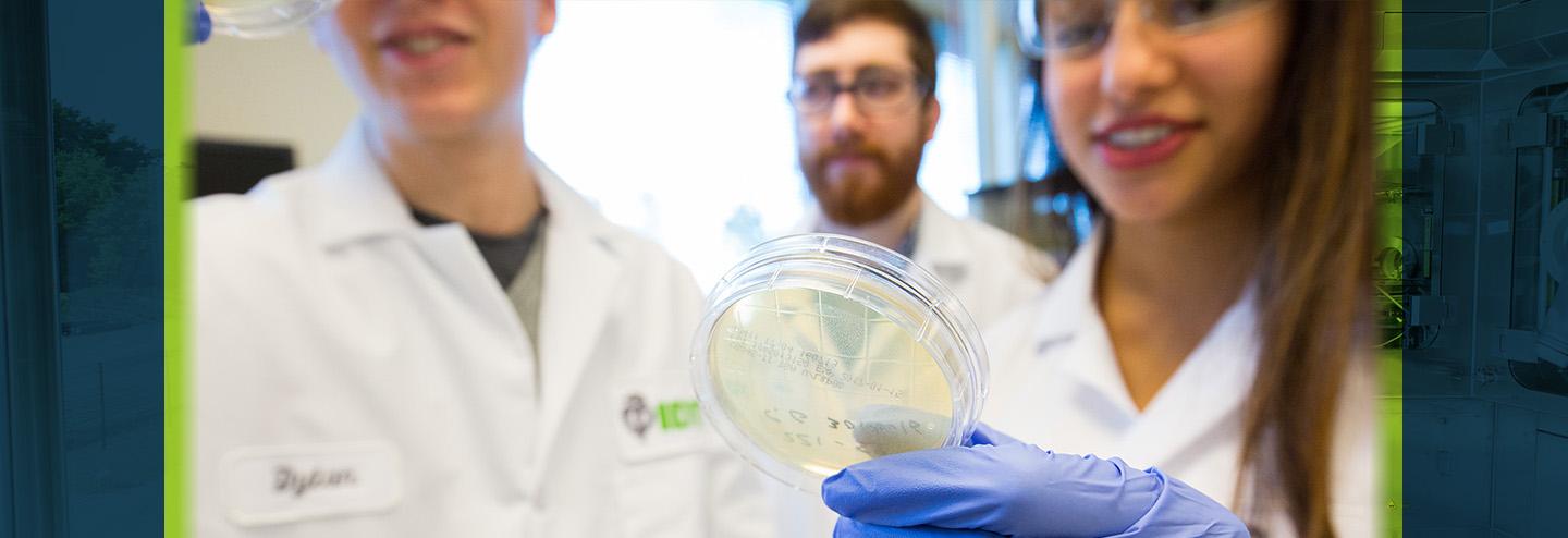 Smart Scale-Up: Expanding Viral Vectors With Microcarrier Bead Technology
