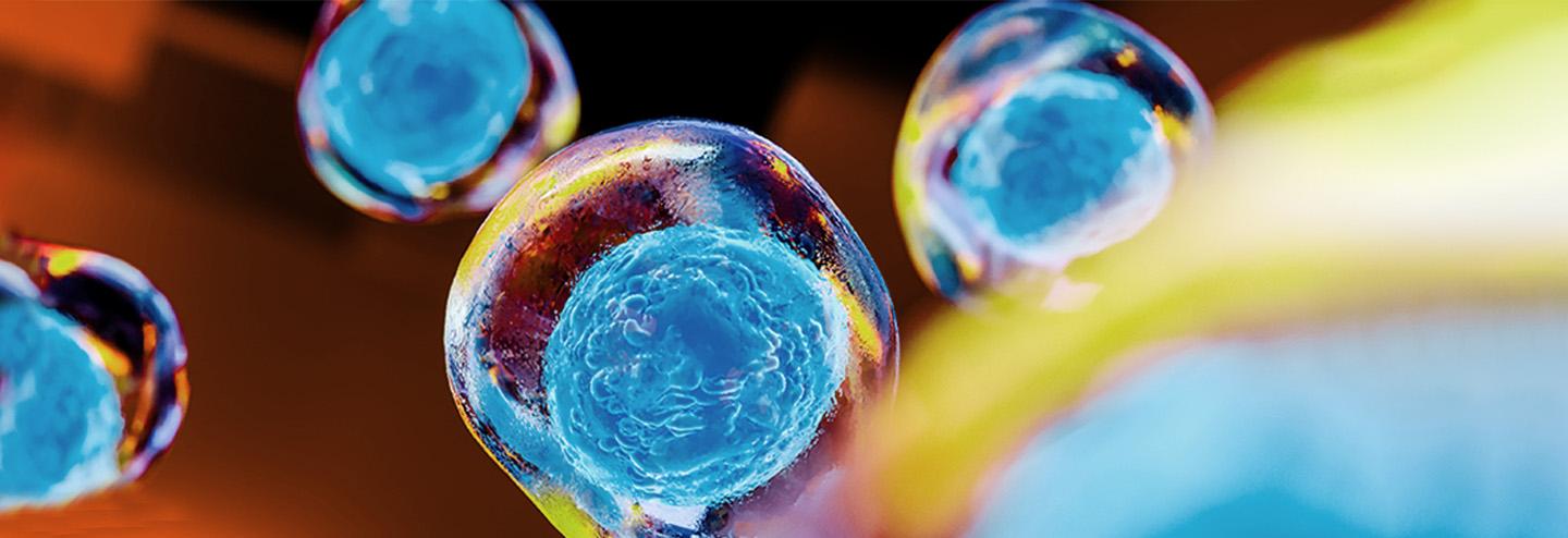 Fighting Cancer by Focusing on Nuclear Export