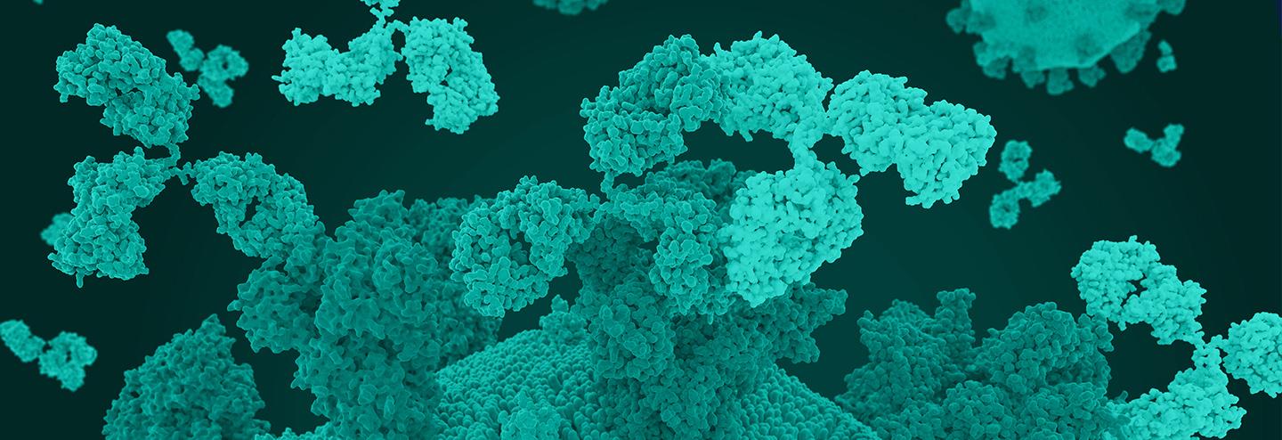 Quality Plant-Made mAbs with FastPharming®