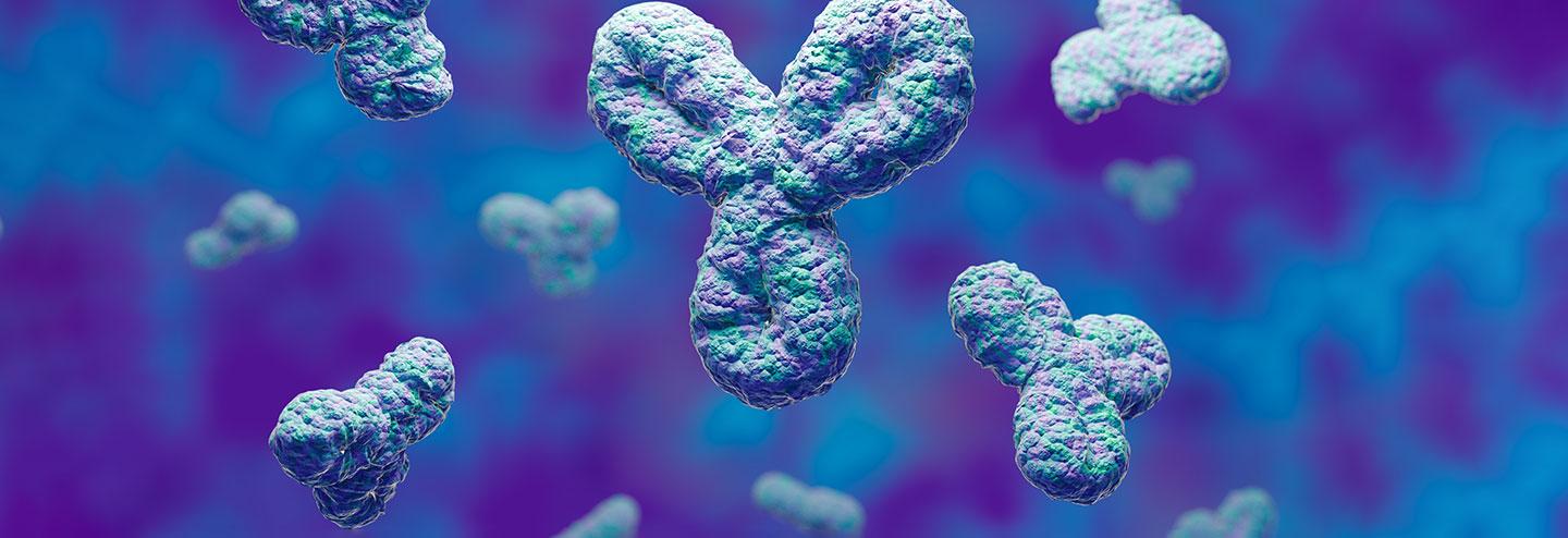 From Llamas to Yeast: Producing Functional Therapeutic Antibody Fragments in Saccharomyces cerevisiae