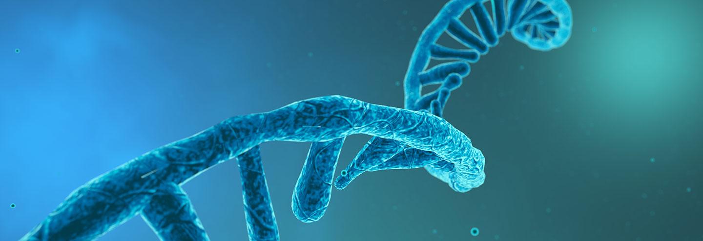 Unlocking New Possibilities in Research, Therapeutics, and Beyond with Morpholino Antisense Oligos